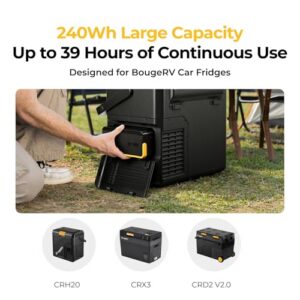 Compatible with CRD2 V2.0