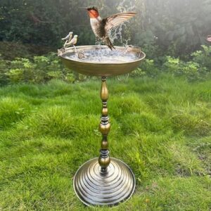 Feeding Tray Attached Water Bowl Iron Art for Balcony Parrot Hummingbird Parakee
