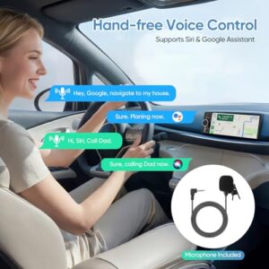 Steering Wheel Control & Voice Command