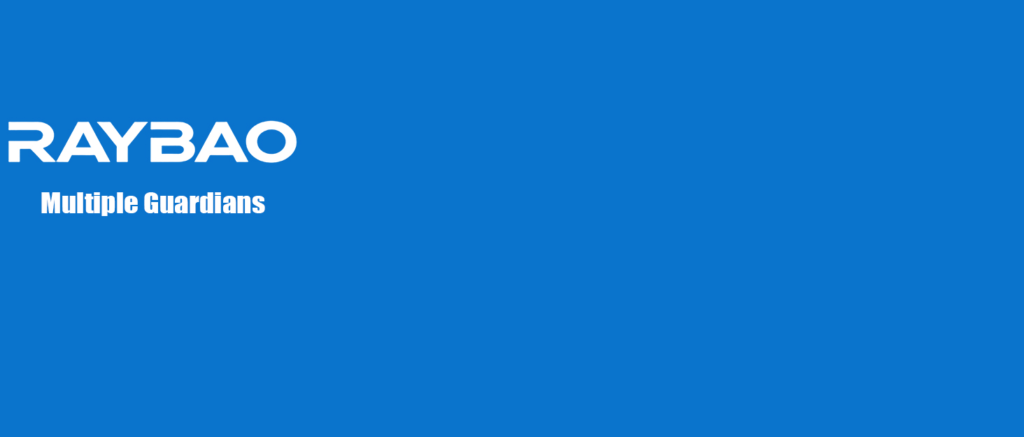 Text reads 'RAYBAO'. Blue corporate background with geometric pattern and company branding element.