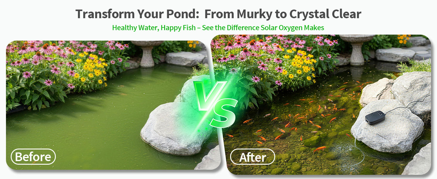aplus content image