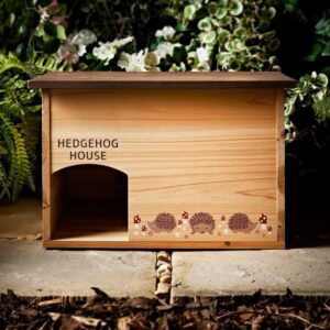 Decorative Painted Hedgehog Hut for Small Animals