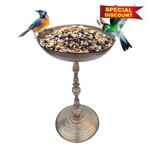 Bird Baths for Outdoors
