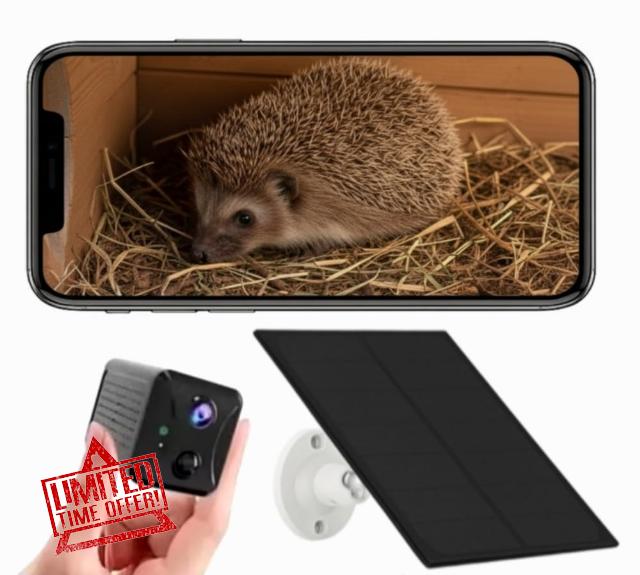 Solar Hedgehog House Camera with WiFi – Wireless HD Wildlife Camera with Night Vision | Live Stream Hedgehogs to Your Phone | Solar Powered Hedgehog Camera