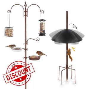 Bird Feeding Station with Anti-Squirrel Baffle