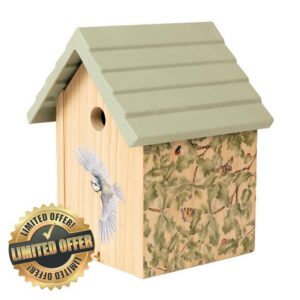Bluetit Bird House 25mm