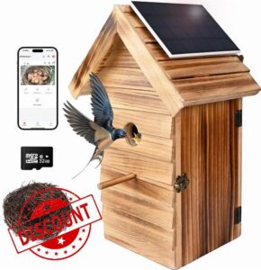 Bird Box with Camera