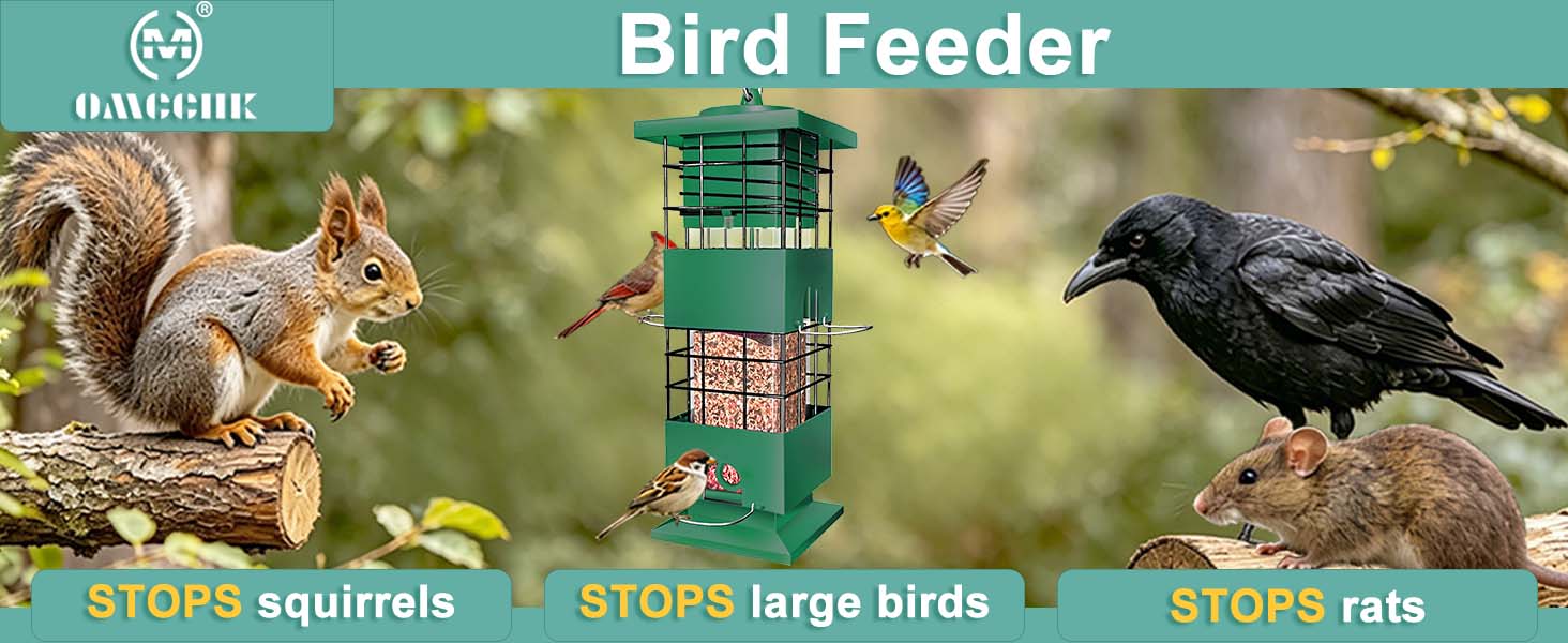 Text reads 'Bird Feeder' with 'HAUSHLE' branding. Product stops squirrels, large birds, and rats. Shows green metal cage feeder with multiple birds and squirrels in natural setting.