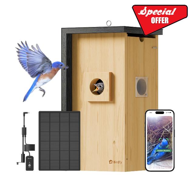 Birdfy Bird House with Camera Solar Powered with Iron Guard for Outside