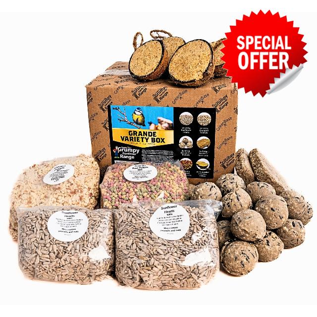 Wild Bird Food Variety Box Grande – Fat Balls