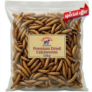 Premium Calci Worms 10kg | Natural Wild Bird Feed & Hedgehog Food Alternative to Mealworms | High Protein Bird Food | High Calcium Calciworms Treat | By Trusty Pet Supplies