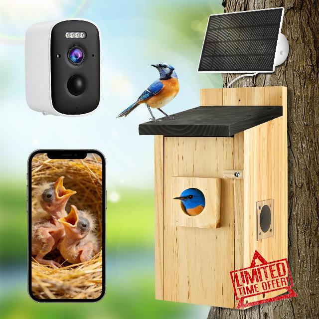 Smart Bird Box with 5MP WiFi Camera