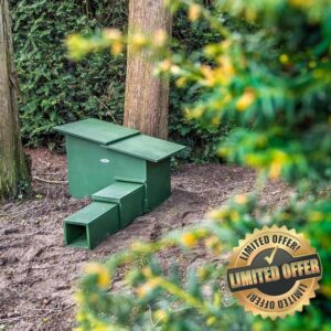 CJ Wildlife Hedgehog House for Garden – Hedgehog House – Wood FSC 100% Green with Removable Roof and Ventilation for Breeding and Hibernatio