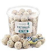 Text reads 'FAT BALLS IN TUB'. Clear plastic cylindrical container filled with tan/beige spherical seed balls. Brand logo visible on container label.