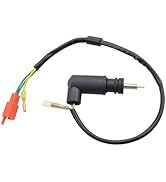 WOOSTAR Ignition Coil Replacement for 2 Stroke Outboard Motor 40HP E40X 40XWT OEM 66T-85570-00