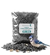 White mesh bag filled with sunflower seeds and scattered seeds around base. Blue scoop inserted in bag. Product label visible on packaging with branding.