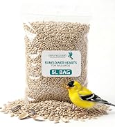 Large white mesh bag filled with sunflower seeds with yellow finch perched on top, seeds scattered at base. Bird feeder product demonstration showing seed storage and wildlife attraction.