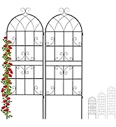 Metal garden arch with gate, featuring floral designs. Black frame with arched top and integrated gate. Red flowering plant growing alongside.