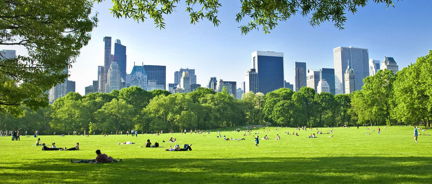 A sprawling green lawn in a city park with people relaxing. Tall skyscrapers of a modern cityscape visible beyond the treeline, contrasting with the natural foreground.