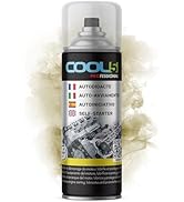 Cool5 Brake Cleaner – Brake Cleaner in Spray Form, Cleans and Degreases Brakes 600 ml + Universal.