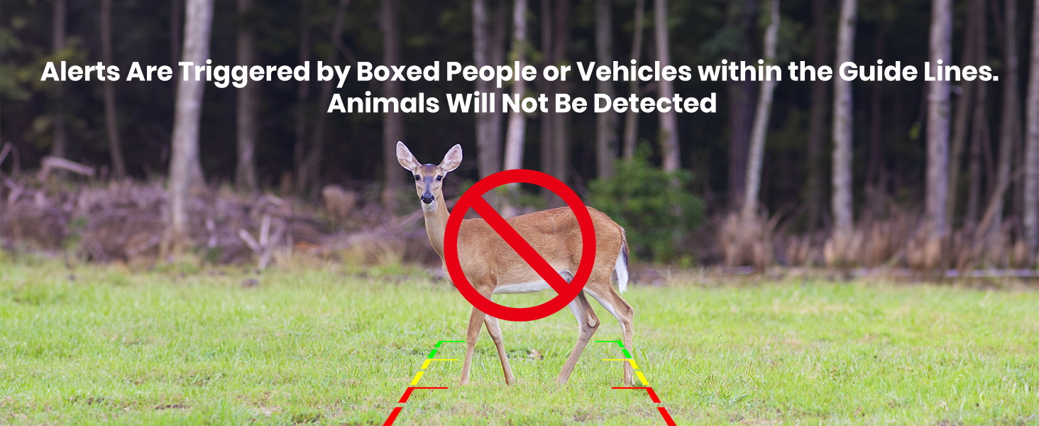 Text reads "Alerts Are Triggered by Raised People or Vehicles within the Static Lines. Animals Will Not Be Detected". Overhead detection system demonstration with no-entry symbol and animals excluded.