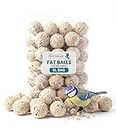 Text reads 'FAT BALLS' and 'No Mess'. Package of spherical tan-colored pet food treats with blue label, some loose balls displayed in front of sealed package.