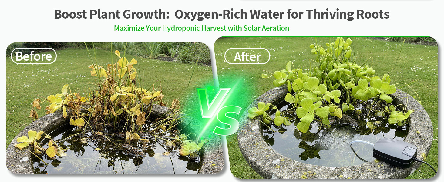 Text reads 'Boost Plant Growth Organic-Rich Water for Thriving Roots'. Marketing banner showing green plant imagery and natural elements.