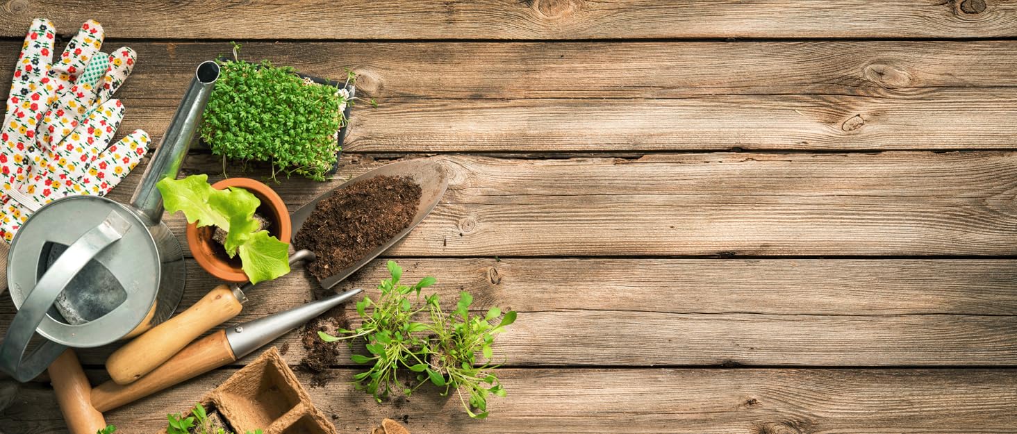 Gardening tools arranged on wooden surface including watering can, small pots with seedlings, garden gloves with floral pattern, and hand tools for planting.