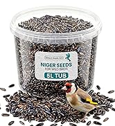 Text reads "NIGER SEEDS FOR WILD BIRDS 1L TUB". Clear plastic container filled with small black niger seeds, with label featuring bird imagery and product information.