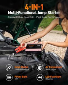 rose gold                                                          12V Battery Booster